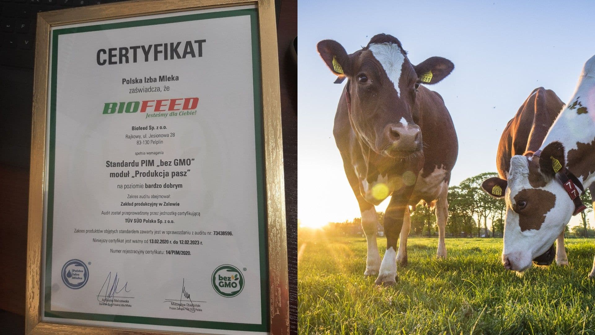 BIOFEED z certyfikatem PIM „bez GMO".