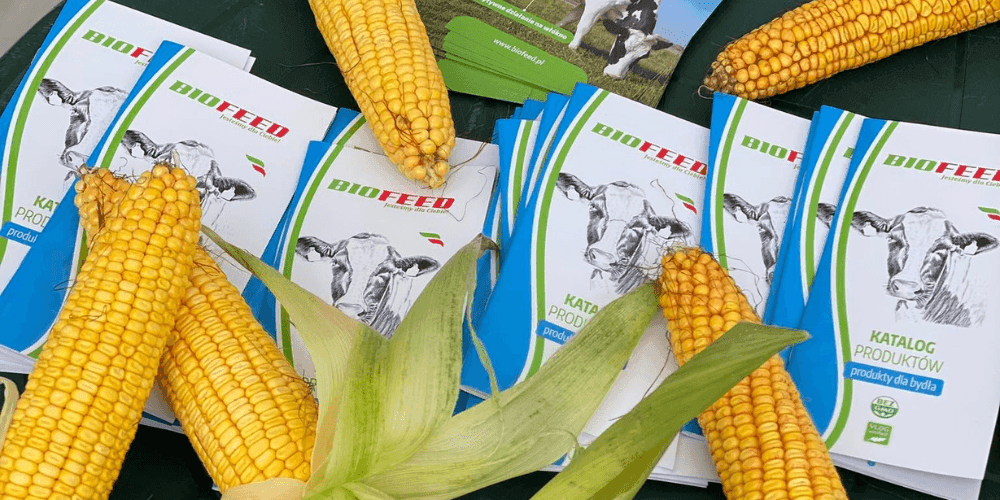 Dzień kukurydzy na Żuławach za nami!